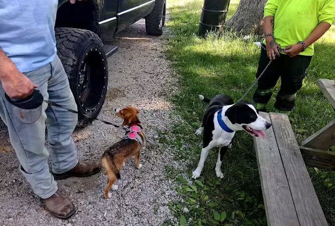 Litchfield Dog Park - Litchfield, IL