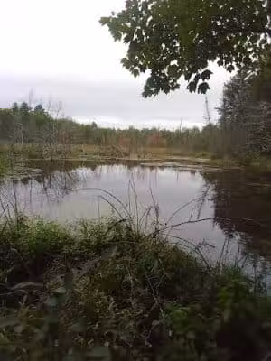 Holman Conservation Area - Litchfield, ME