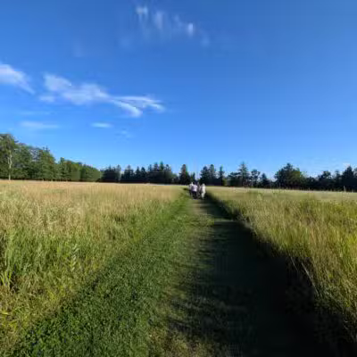 Topsmead State Forest - Litchfield, CT