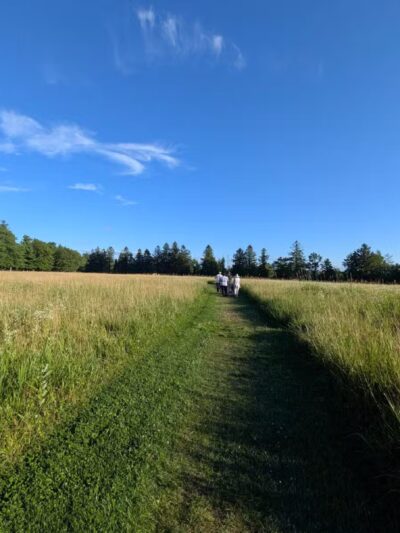 Topsmead State Forest - Litchfield, CT