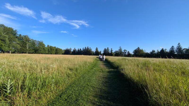 Topsmead State Forest - Litchfield, CT