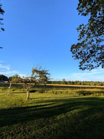 Topsmead State Forest - Litchfield, CT