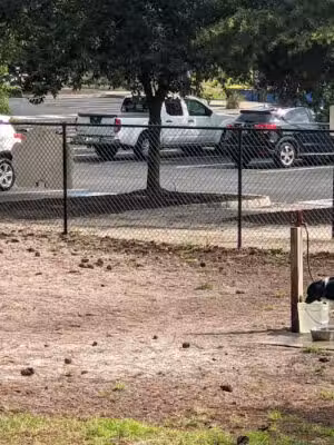 Waggin' Tales Dog Park - Little River, SC