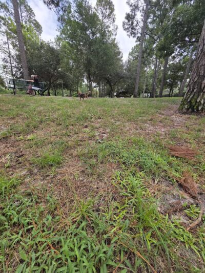 Waggin' Tales Dog Park - Little River, SC