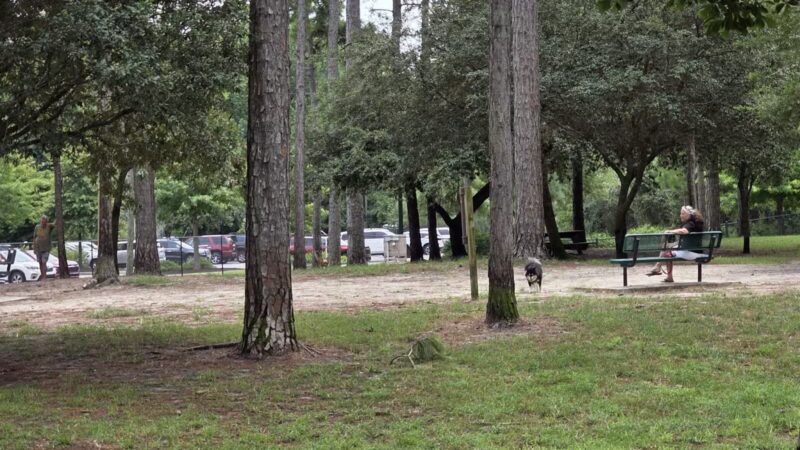 Waggin' Tales Dog Park - Little River, SC