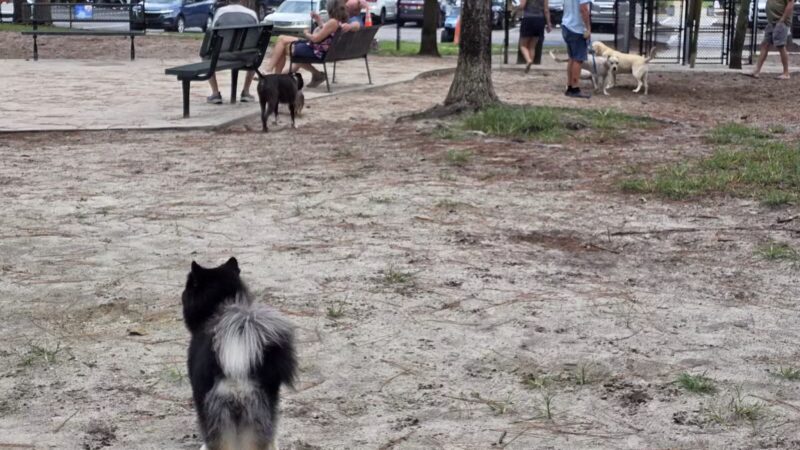 Waggin' Tales Dog Park - Little River, SC
