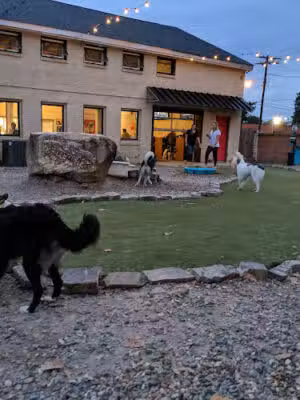 Bark Bar - Little Rock, AR