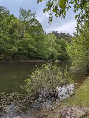 Lakeside trail - Little Rock, AR