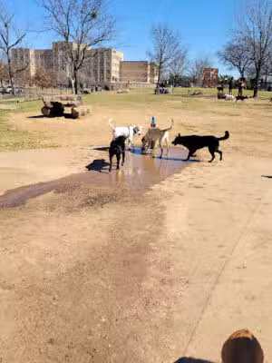 Paws Park at Murray - Little Rock, AR