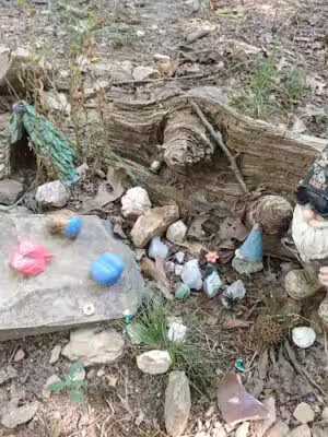 Rock Garden - Little Rock, AR