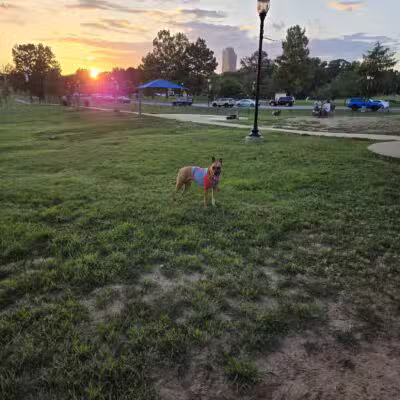 MacArthur Dog Park and Recreation - Little Rock, AR
