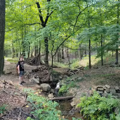 Rock Garden - Little Rock, AR