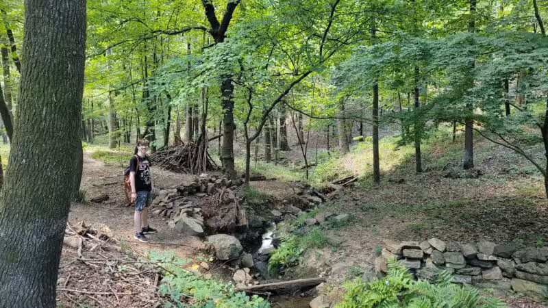 Rock Garden - Little Rock, AR