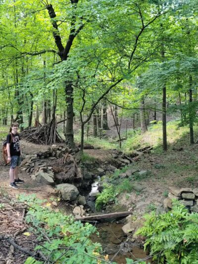 Rock Garden - Little Rock, AR