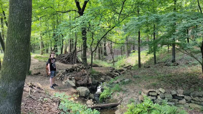 Rock Garden - Little Rock, AR