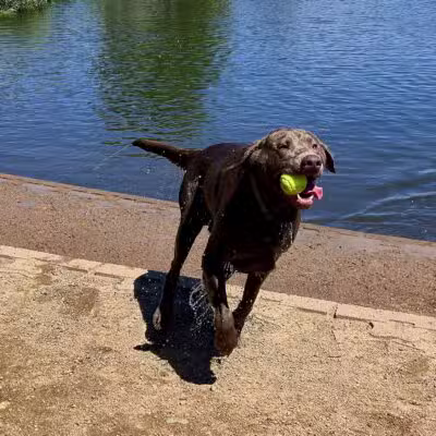 Chatfield Dog Park - Littleton, CO