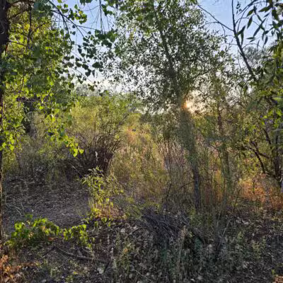 Chatfield Dog Park - Littleton, CO