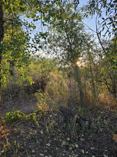 Chatfield Dog Park - Littleton, CO