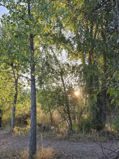 Chatfield Dog Park - Littleton, CO