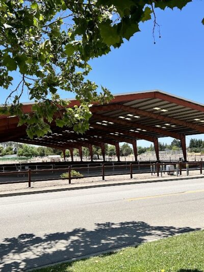 Livermore Canine Park - Livermore, CA