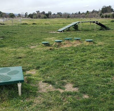 Livermore Canine Park - Livermore, CA