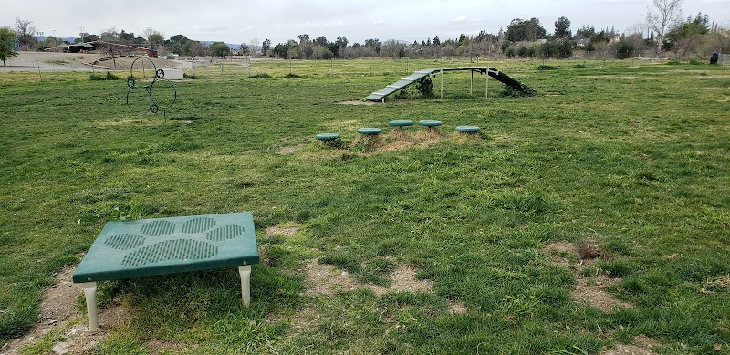 Livermore Canine Park - Livermore, CA