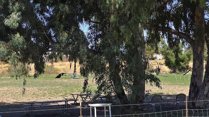 Livermore Canine Park - Livermore, CA