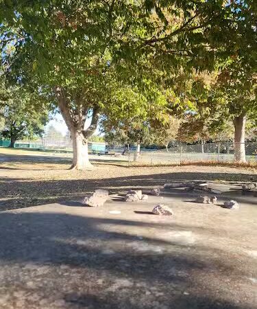 Max Baer Dog Park - Livermore, CA