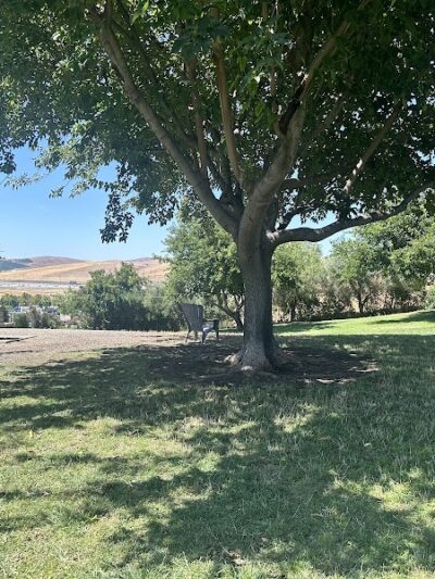 Meadow Vista Dog Park - Livermore, CA