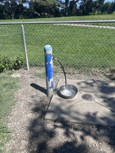 Meadow Vista Dog Park - Livermore, CA