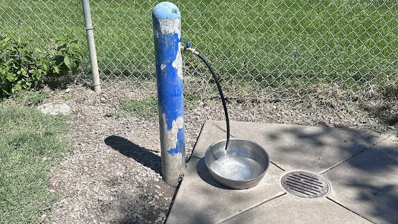 Meadow Vista Dog Park - Livermore, CA