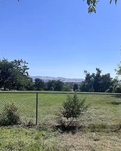 Meadow Vista Dog Park - Livermore, CA