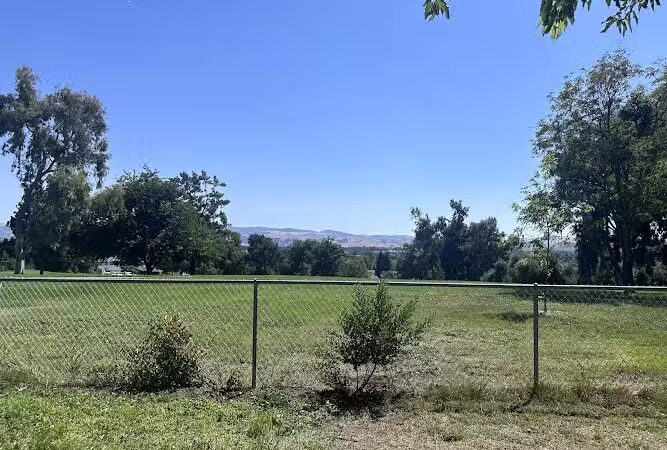 Meadow Vista Dog Park - Livermore, CA
