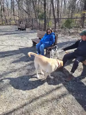 Livingston Dog Park - Livingston, NJ
