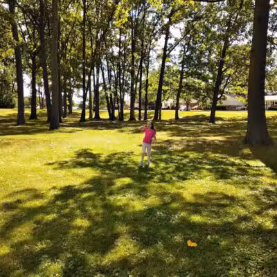 Compton Park - Livonia,
