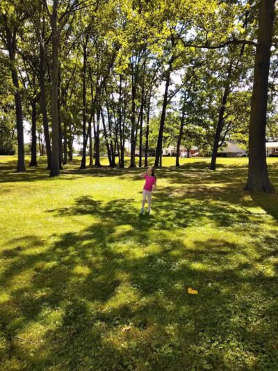 Compton Park - Livonia,