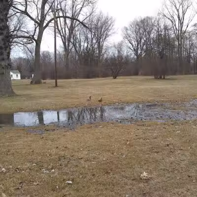 Compton Park - Livonia,