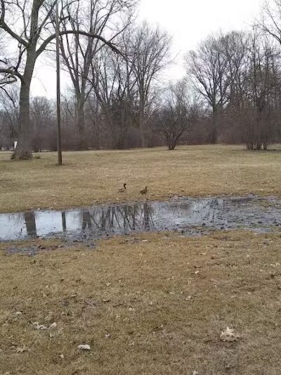 Compton Park - Livonia,