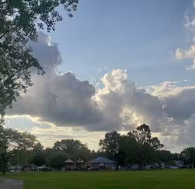 Dooley Park - Livonia,