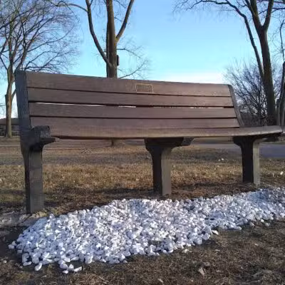 Dooley Park - Livonia,