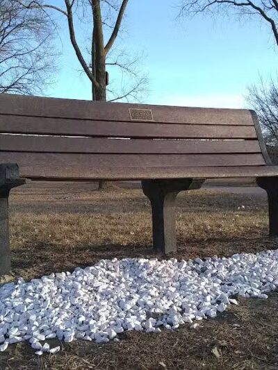 Dooley Park - Livonia,