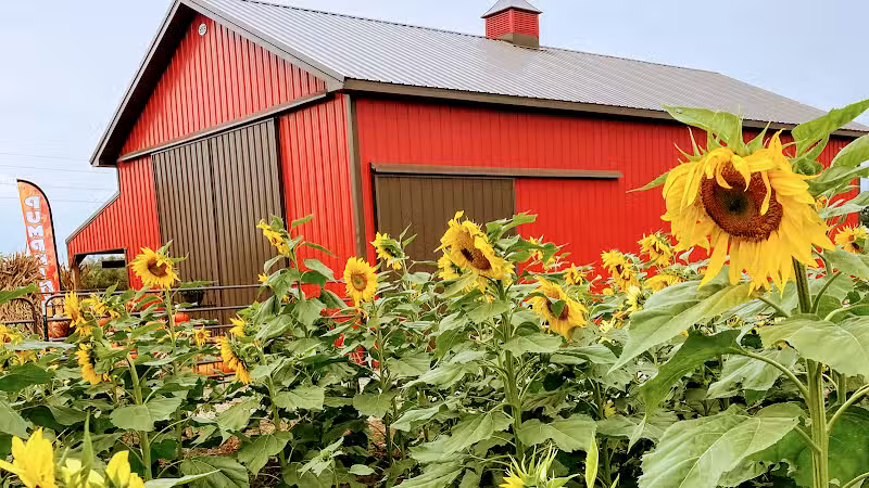 The Pumpkin Pad - Lone Jack, MO