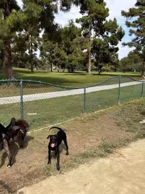 El Dorado Park Dog Park - Long Beach, CA