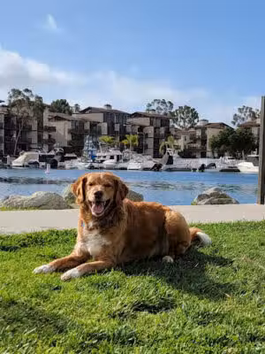 Jack Nichol Park - Long Beach, CA