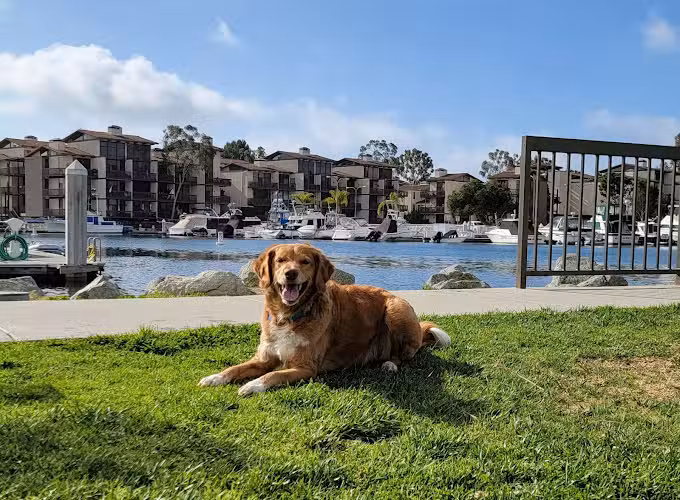 Jack Nichol Park - Long Beach, CA