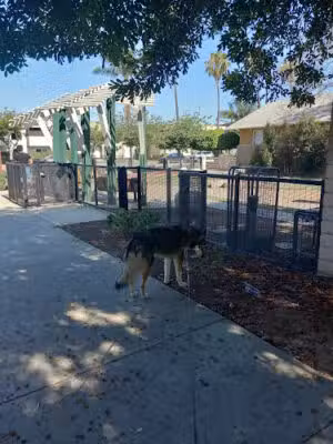 K-9 Corner Dog Park - Long Beach, CA