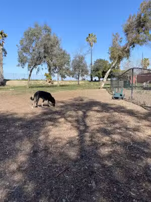 Wrigley Heights Dog Park - Long Beach, CA
