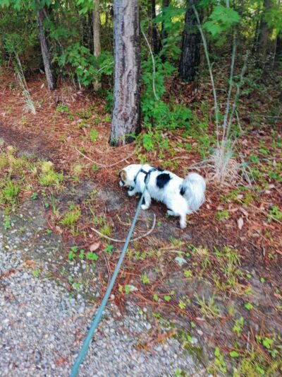 FETCH Park - Long Beach, MS