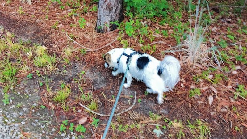 FETCH Park - Long Beach, MS