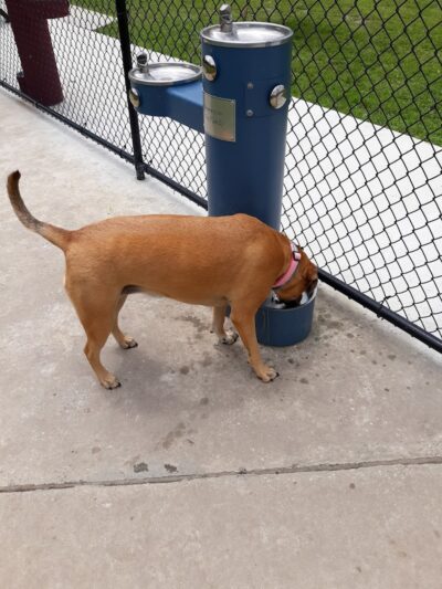 FETCH Park - Long Beach, MS